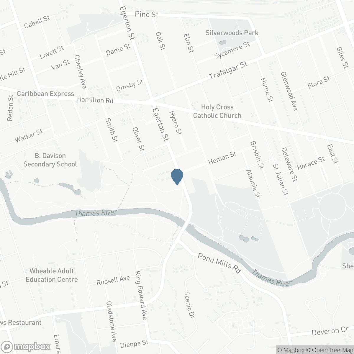89 EGERTON STREET, London, Ontario N5Z 2G1